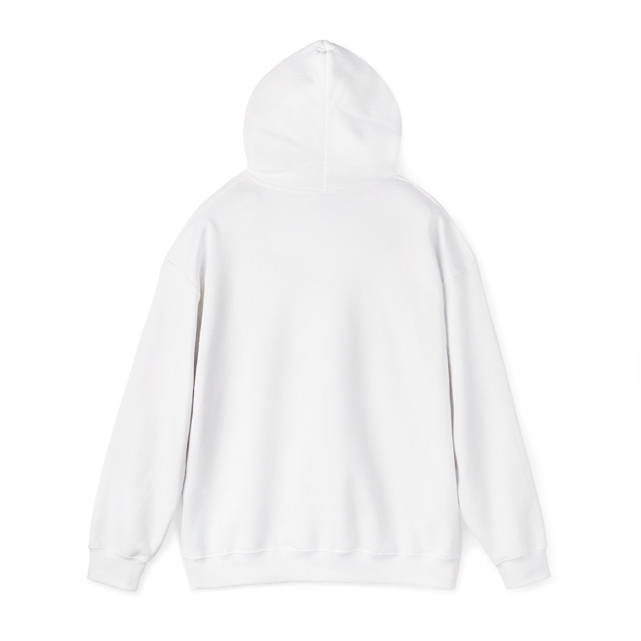 World's Okayest Grill Dad Hoodie | Father's Day, sarcastic retro outdoorsy