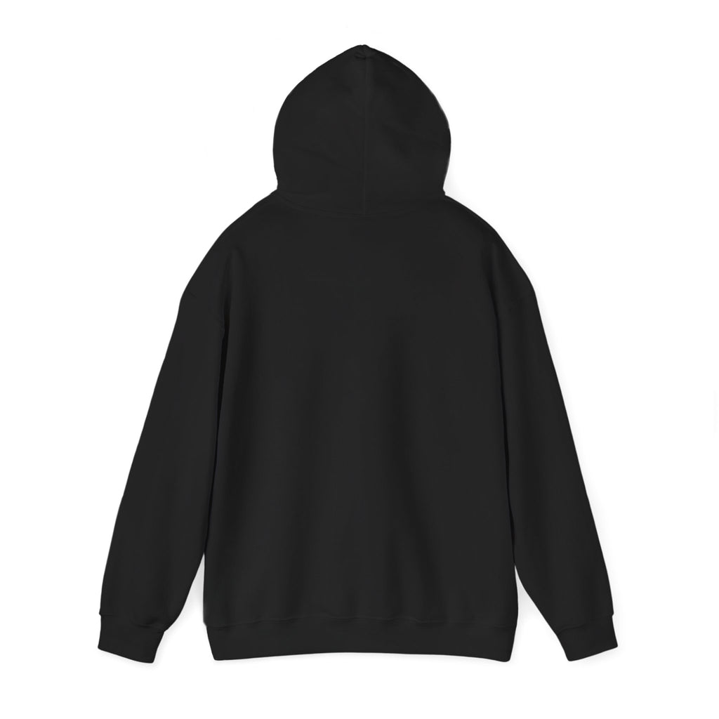 Community Soccer Club Hoodie | youth league supporter, sideline team colors